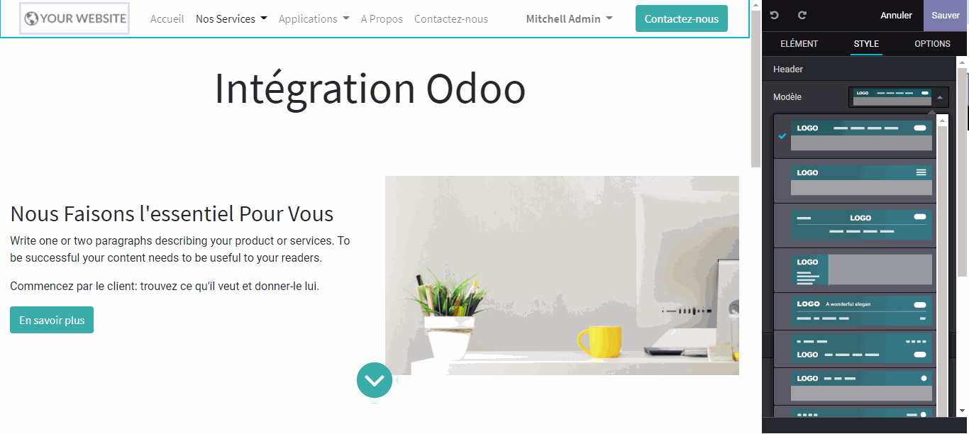 Odoo CMS - une grande photo